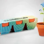 Semi e kit di coltivazione